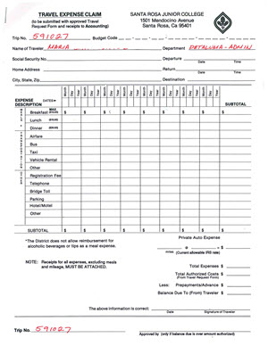 Travel Expense Form