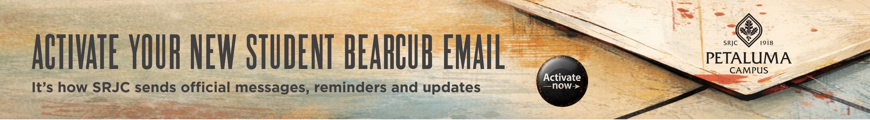 Activate Bearcub Email