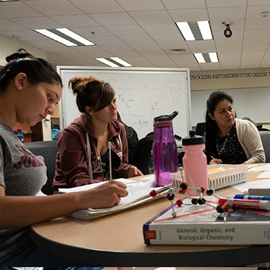 A group of students speaking with a tutor