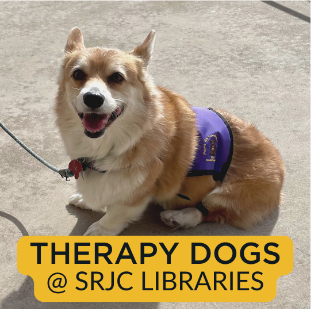 therapy dogs on campus